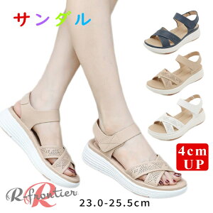 ȂT_ fB[X  X|[cT_ y 4cm T_ ₷ X|[eBT_   fB[XT_ ɂȂ ItBXT_ L r IV