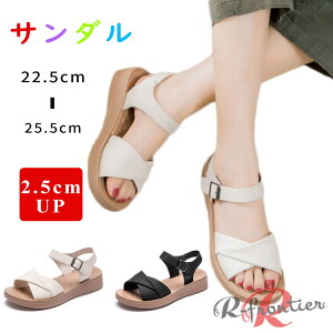 ȂT_ fB[X  X|[cT_ y T_ ₷ X|[eBT_   fB[XT_ ɂȂ }} ItBXT_ L r IV