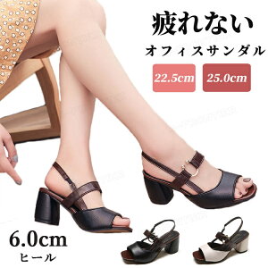 pvX fB[X q[ ItBXT_ ȂT_ ItBXV[Y 6.0cm ubNq[T_ ߃q[ C t ʋ ItBX gAbv r ~ r 