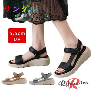 ȂT_ fB[X  X|[cT_ ₷ ꂢ 5.5cm  T_ ItBXT_ fB[XT_ ɂȂ d r  y _炩 L