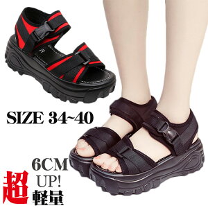 X|[cT_  fB[X y Xj[J[ T_ ᔽ ₷ ₷ 6cmq[ Ȃ X|T AEgbg r[`T_ r AEghA C   