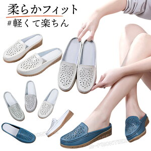 ƂȂV[Y fB[X X|[cT_  T_ 傫TCY Ȃ T_ fB[X Xbp ̎q q[4cm T_ bNX T_  y