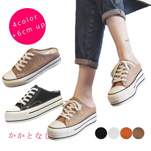  Xj[J[ ƂȂ fB[X 6cm y  Xb| T_Xj[J[ Ȃ Ȃ ƂȂ   ₷ ɂȂ fB[X V[Y LoX 