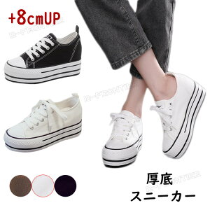 Xj[J[ 8cm fB[X ₷    ɂ ؍ LoX Xj[J[ nC\[ y r ubN zCg gAbv  fB[X [Jbg 