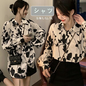 _Xߑ gbvX fB[X l Vc  qbvzbv fB[X   _Xߑ k-pop ߑ  ԕVc 傫TCY WY_X ߑ l K[Y cc 傫 