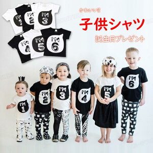 Z yA Vc NR[f q  tVc a LbY  q gbvX  v[g TVc q ̎q j̎q  Ƒ ʐ^p LOBe Cxg o s 1-6