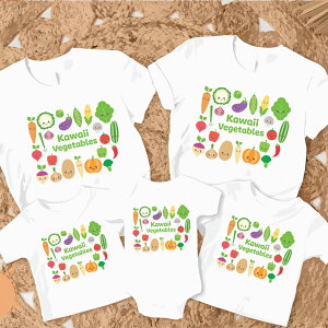 NR[f eq Zbg yAtVc ʕ  Ƒ  TVc }}  낢 xr[ eq yAbN tVc Ԃ p[X tVc pꎚ eq  eqR[f  