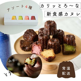 セトレのカヌレ　アソート4個入り(プレーン・抹茶・ラズベリー・珈琲）SETRE Caneleホワイトデー、スイーツギフト　カヌレギフト　お祝やお礼、内祝に洋菓子ギフト　引菓子、焼菓子　お取り寄せ　手土産や誕生日プレゼント　送別ギフト　景品