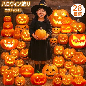 y2_420~OFFznEB Cg nEB  nEB u ڂჂ nEBpvLCg^ t C~l[V  hЃObY   q