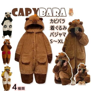 4 Jso ѕz  pW} JsopW} [EGA iCgKE ӂӂ ㉺Zbg p_ ~co` jp [EFA  fB[X H ~ pW