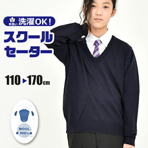 yzXN[Z[^[ E[ 100% 􂦂 jbg Z[^[  VlbN jp LbY WjA 110 120 130 140 150 160 170 ۈ牀 ct w wN w w  q n 