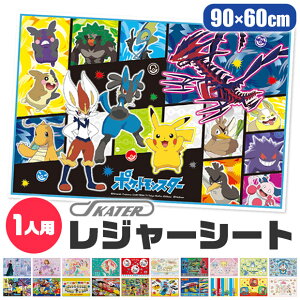 レジャーシート 一人用の人気商品 通販 価格比較 価格 Com