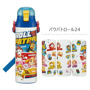 2025NŐVy 20OFF zpbL܂IyzSKATER XP[^[  LbY  _CNg{g 580ml SDC6  q y eʃ^Cv bNt vbV XeX 