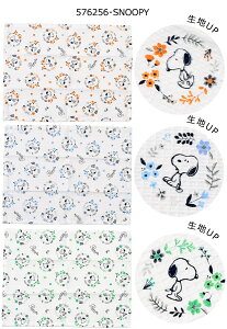 yzXP[^[ skater btnӂ ӂ 3Zbg H@ 䏊pi Lb`ObY @ ӂ ӂ NX Lb` Lb`pi Lb`NX bt