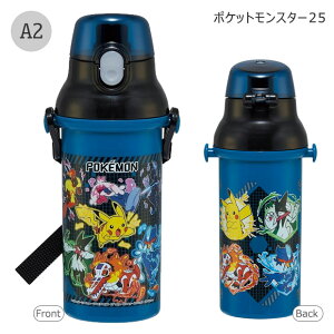 2025NŐVyzSKATER XP[^[   v^b`{g R ^b`  vX`bN 480ml y vbV _CNg ct w ̎q j̎q L