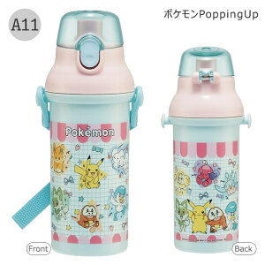 2025NŐVyzSKATER XP[^[   v^b`{g R ^b`  vX`bN 480ml y vbV _CNg ct w ̎q j̎q L