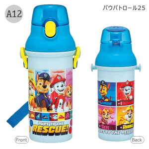 2025NŐVyzSKATER XP[^[   v^b`{g R ^b`  vX`bN 480ml y vbV _CNg ct w ̎q j̎q L