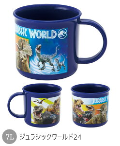 y 10%OFF zSKATER XP[^[ R vRbv vX`bNRbv qp Rbv qǂ 2025N V vX`bN LbY xr[ qǂ j̎q ̎q H vX`bNH LN^[ 