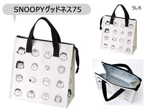 y 10OFF zyzSKATER XP[^[ ۗobO e `obO ۗ 傫 `obO ۗ Xk[s[ `obO ۗLN^[ ۗg[gobO }`L GRo