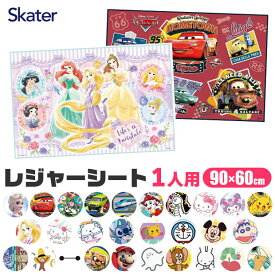 2026年最新柄【2点以上で送料無料】SKATER スケーター レジャーシート 一人用 コンパクト えんそく 山登り 登山 ピクニック 防水 おすすめ アウトドア 折りたたみ サイズ キャンプ コンパクト 子供用 男の子 女の子 キャラクター 幼稚園 小学生 遠足 かわいい