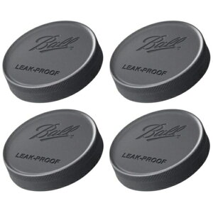 Ball C\W[ M[}EXp leak-proof vXeBbNӂ 4Zbg