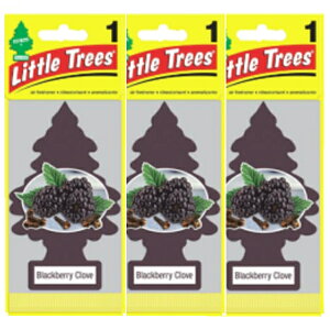 ���g���c���[ �G�A�t���b�V���i�[ Little Trees �u���b�N�E�x���[ 3���Z�b�g �F���� USDM Made in USA �ԗp