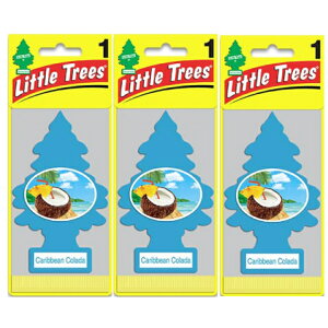 Little Trees gc[ JrAER[_ USDM 3Zbg Made in USA ԗp F