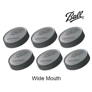 Ball C\W[ Ch}EXp leak-proof vXeBbNӂ 6Zbg