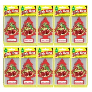Little Trees ���g���c���[ ���C���h�E�`�F���[ USDM 10���Z�b�g Made in USA �ԗp �F����