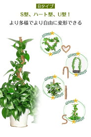 曲げられる モンステラ支柱 2点セット ココスティック 観葉植物 支柱 園芸支柱 植物 ガーデニング用 花ささえ 結束線 結束バンド ココナッツ支柱 植物サポート 自由に変形できる つる性植物 トマト ポトス 農業用 園芸用 園芸支柱パーツ おしゃれ 70cm