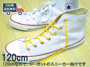 CR V[[X ۃ^Cv  RF 120cm Ђ̑ւ CR DM֑