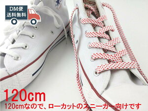 CR V[[X hbg L0.8cm zCg×bh × 120cm 킢  CR ւ̂Ђ