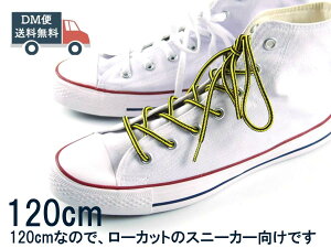 CR V[[X ۃ^Cv C ubN×CG[ 120cm  킢 Ђ̑ւ CR