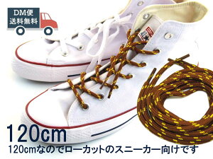 120cm CR V[[X ۃ^Cv ΂߃hbg ԒF×CG[  킢 DM֑