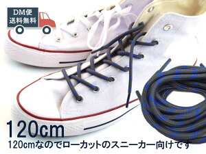 120cm CR V[[X ۃ^Cv ΂߃hbg _[NO[×lCr[ NcЂ 킢  Y