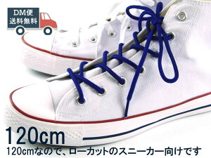 CR V[[X ۃ^Cv C × 120cm  킢 Ђ̑ւ CR ubNXu[