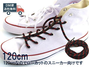 CR V[[X ۃ^Cv ΂߃hbg X 120cm u[cAXj[J[ ڗ  ꂭЂ 