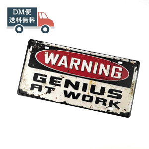 �A�����J���� �u���L�Ŕ� �x�� WARNING GENIUS AT WORK �d�����I�ז����Ȃ��ŁI ���g�� �A���e�B�[�N�� �r���e�[�W���H ���^���v���[�g