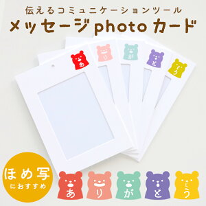 メッセージPHOTOカード（ありがとう）差し込み台紙 写真台紙 記念写真 TAKENO 竹野株式会社 612-0001
