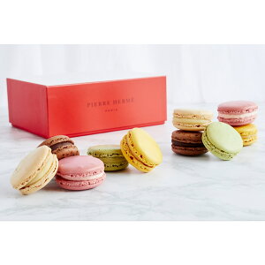 sG[EGEp }J sG[G ①֔z  Ԃ 2024 Mtg َq Mtg XC[c Mtg mَq 킢  lC v[g Hו nEB a 