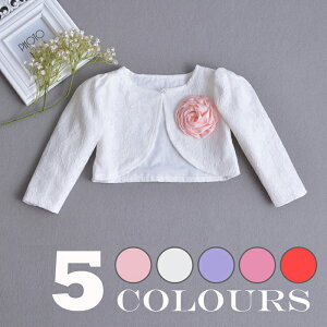 Ԃ {xr[ { xr[hXp{ ԃRT[W [X {  I މ@ V {Q a tH[} LbY q{ 60 70 80 90 sN@zCg 5