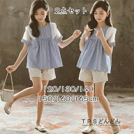 子供服 セットアップ 夏 子供服 女の子 夏服 半袖 上下セット ストライプ Tシャツ 2点セット パンツ 子供…