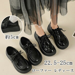 [t@[ fB[X  Lg^bZ[t@[ q[ fB[X [q[ V[Y fB[X ʋ ʊw d q w w C JR[ r X^C