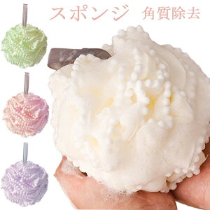 _炩 X|W CX|W V[X|W ьPA p  A q X|W oXpi Ȃ ɗD