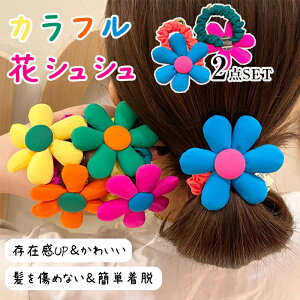 VV LbY 2 Zbg wAS Jt  ̎q q ǂ wAANZT[ S 킢 LbY_Xߑ  o K[Y qbvzbv nEB  