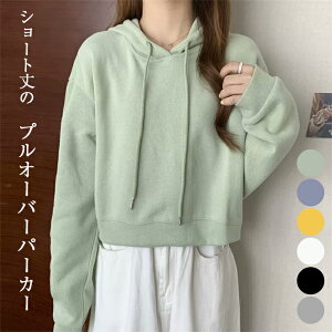  fB[X t H V[g p[J[ vI[o[ JWA  n Vv gbvX fB[X g[i[ ~jp[J[ XEFbg  t[ht Jbg\[ X