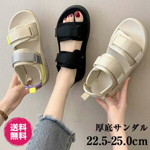 X|[cT_ ItBX T_  T_ fB[X  ₷ X|[c T_ Ȃ fB[X y IV r y ɂȂ ~ Ȃ ₷   