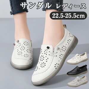  T_ fB[X T}[V[Y JV fB[X JWA RtH[gT_  _炩 ₷ [t@[ ɂȂ }}C  {vC ItBXT