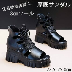  T_ fB[X ₷ OfBG[^[ T_ OfBG[^[T_ 8cm UP PUv ʋ ItBX gUP I[vgD T_ EGbW\[T_ 