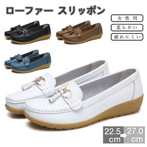  [t@[ Xb| fB[X hCrOV[Y C V[Y p fB[X Y 3cm hCrOV[Y fB[X C V[Y 傫TCY jp 